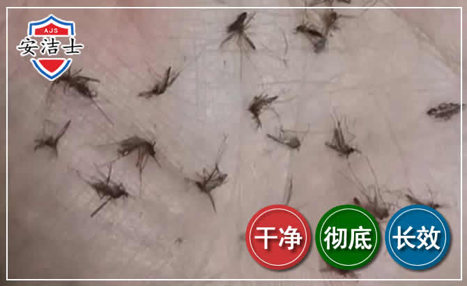 椒江区蚊子防治-灭蚊