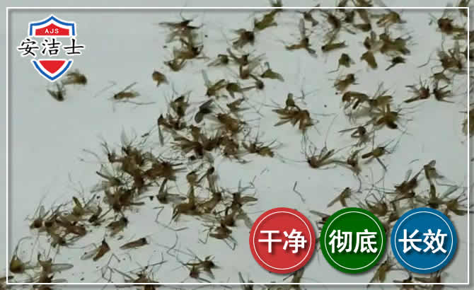 椒江区苍蝇防治-灭蝇