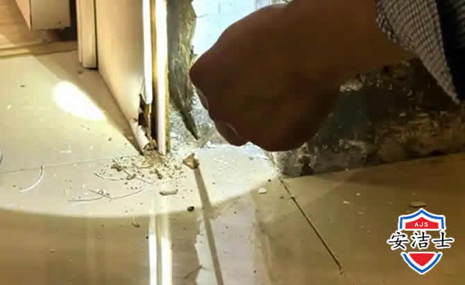 椒江区房屋建筑防治白蚁