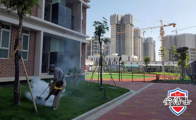 椒江区工厂工地除白蚁