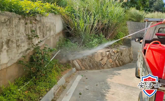 椒江区道路堤坝白蚁防治