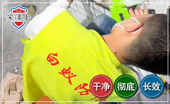 椒江区白蚁根治现场